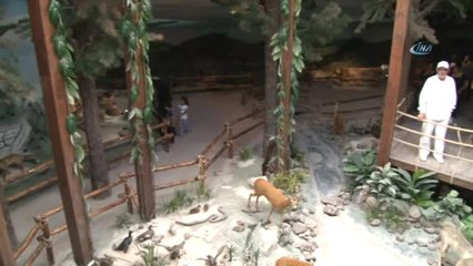 Çamlıdere'de Yaşayan Hayvanlar Öldükten Sonra da İlgi Görüyor