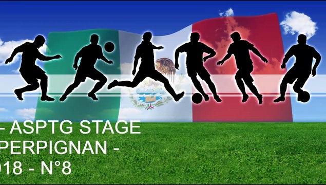 JEU A THEMES - ASPTG STAGE FOOT - FIVE PERPIGNAN - 07.08.2018 - N°8