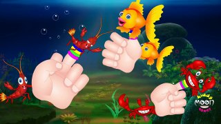 Finger Family Fish Finger Family( AQUATIC FAMILY) | Nursery Rhymes | Kids Songs Collection