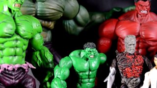 The Incredible Hulk Collection Marvel Universe