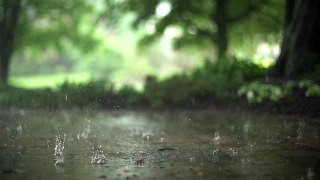 Beachfront B Roll: Raindrops (Free to Use HD Stock Video Footage)