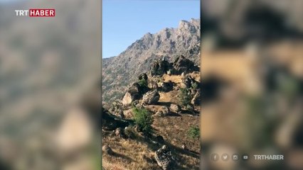 Irak'ta 3 el yapımı patlayıcı imha edildi