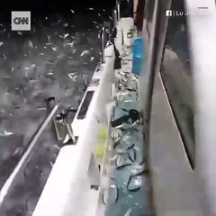 Des milliers de sardines débarquent sur le bateau d'un pêcheur !