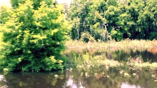 Savannah Wildlife Refuge Savannah, GA