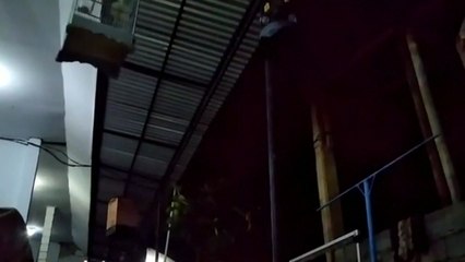 인도네시아 롬복서 규모 6.9 강진 / YTN