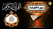 41 القرآن الكريم المجود - سورة فصلت كاملة مكية عدد الآيات: ٥٤ بصوت القارئ الإيراني كريم منصوري