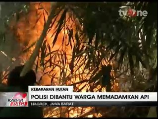 Lima Hektare Hutan Gunung Kereumbi Dilalap Si Jago Merah