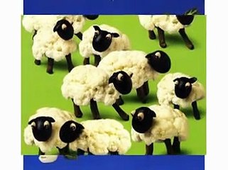 Vegetable Art Photo Slide