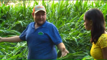 Tornadoes Touch Down Along Connecticut, Massachusetts Border