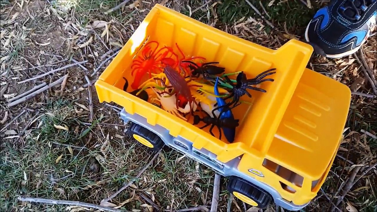 Plastic Bugs and Sea Creature Toy Hunt Toddlers Playing and Learning Animals