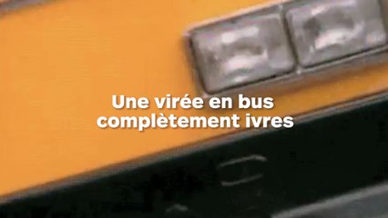 Ivre, ils volent un bus
