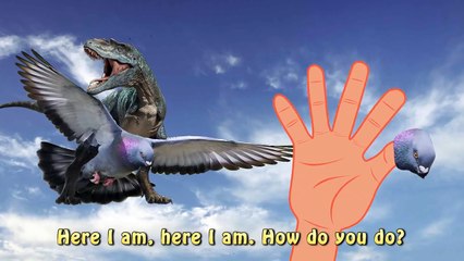 Dinosaur Finger Family Ride Pigeon Funny Cartoon | T Rex Daddy Finger Nursery Rhyme for Ch