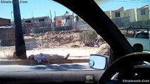 Un Hombre Acostado En La Calle Aventura En Tijuana Baja California Mexico Con Shialeweb