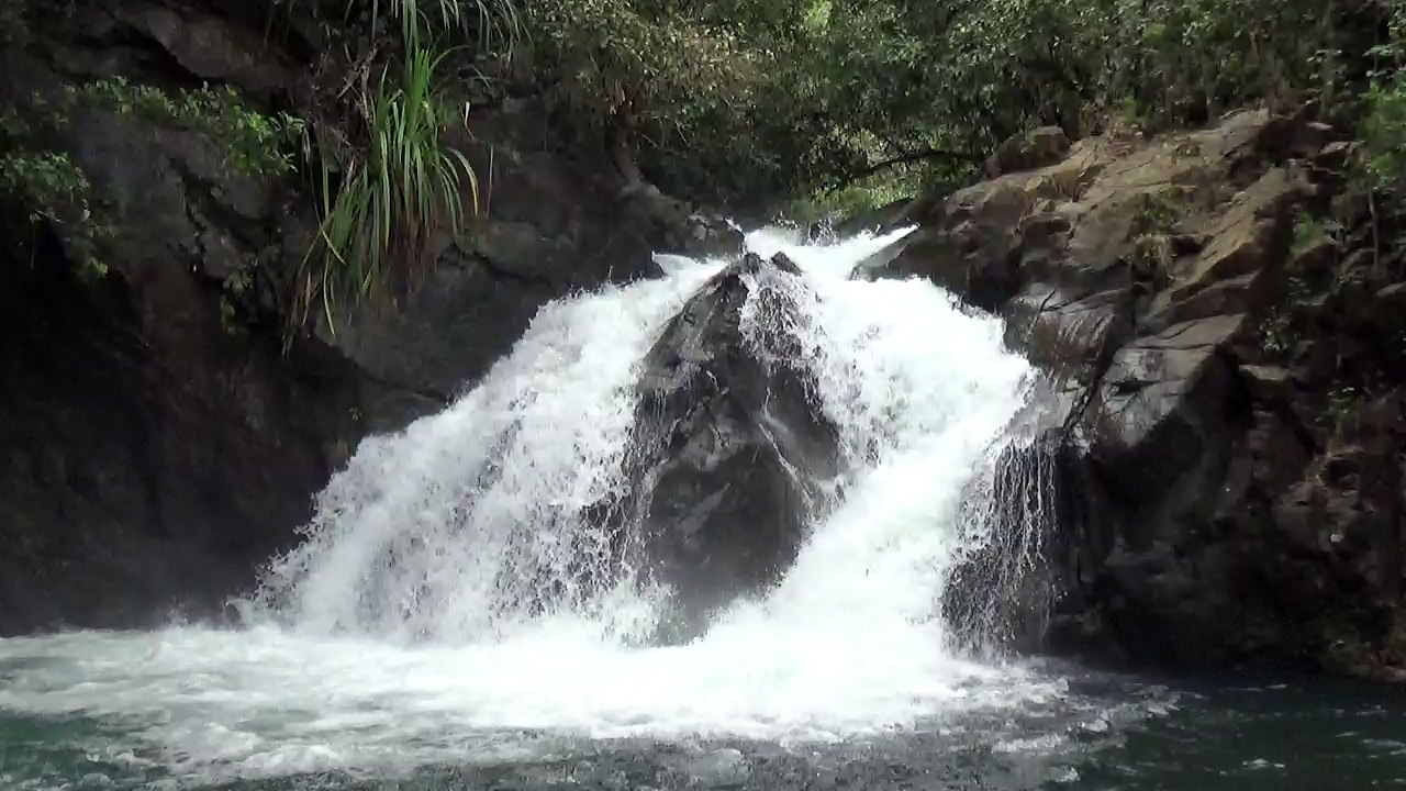 PALAWAN SPRING