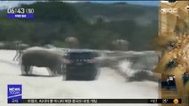 [투데이 영상] SUV 차량 공격하는 코뿔소