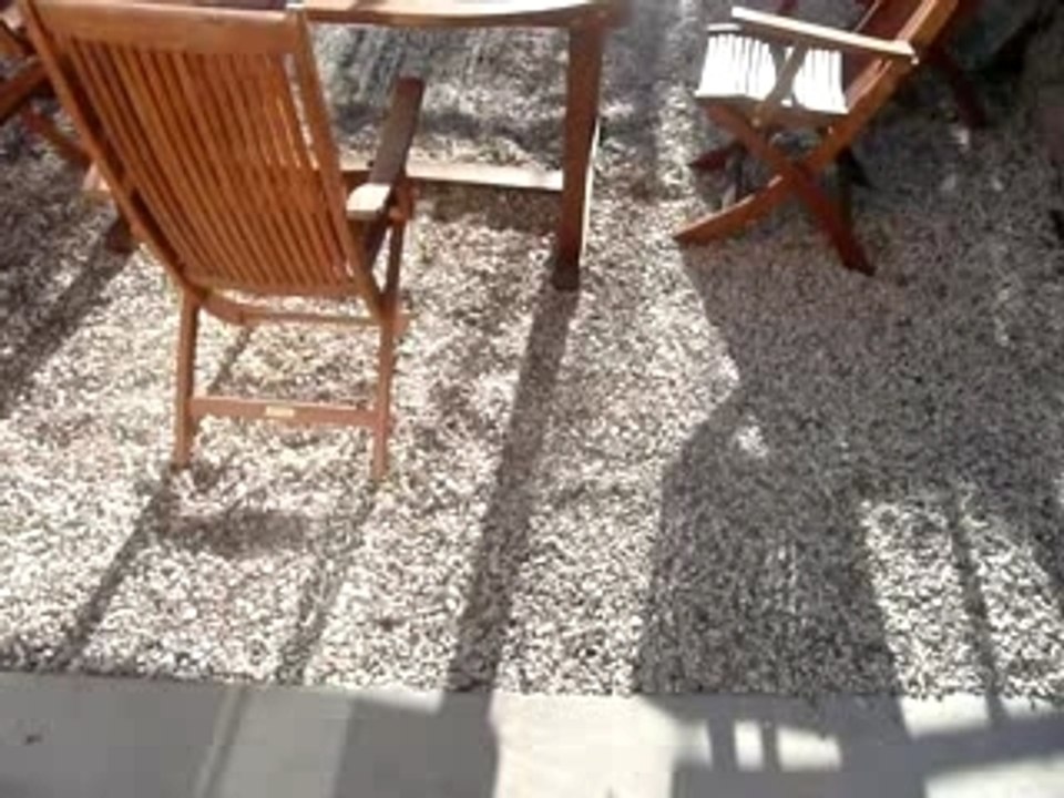 Chez nous dans le jardin au mois de décembre !!