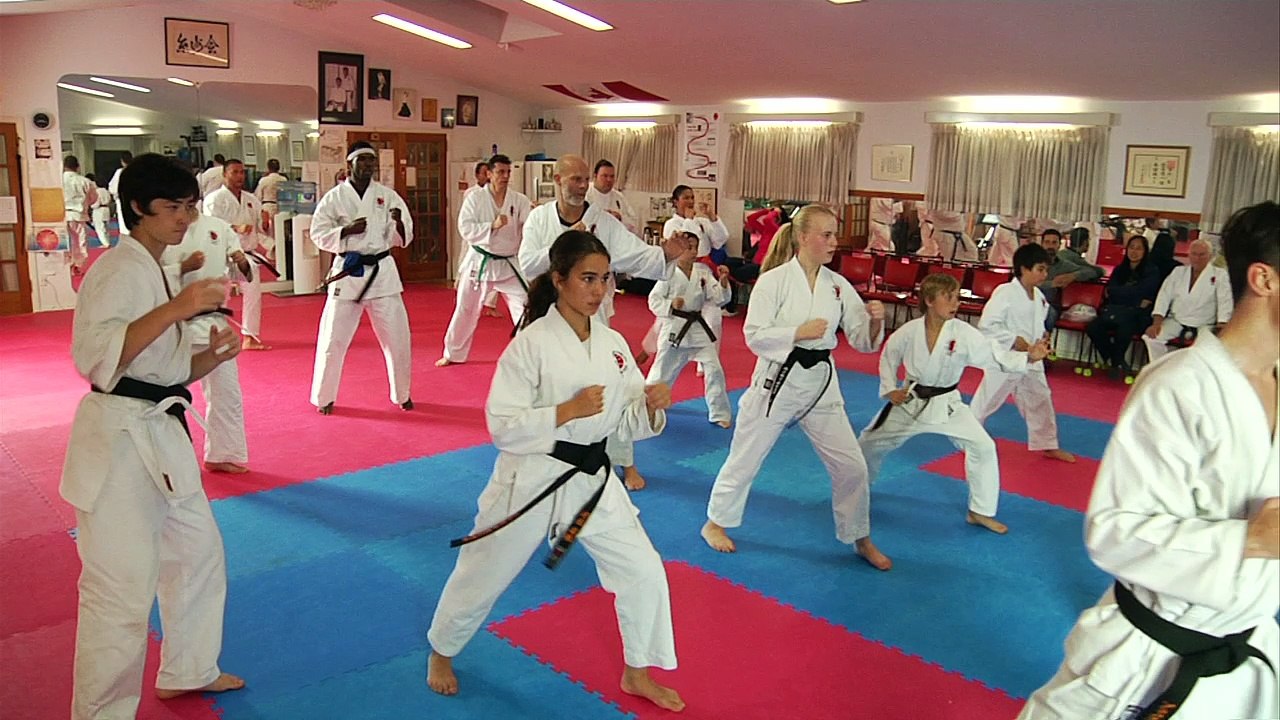 Trailer: Karate in Ontario: THE UPHILL BATTLE ‘THE COST OF RAISING A CHAMPION’