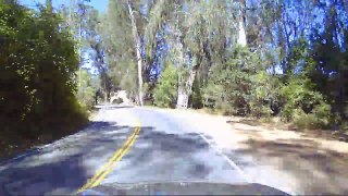 A Drive Up The Coast: California 1 Shoreline Highway, All The Way