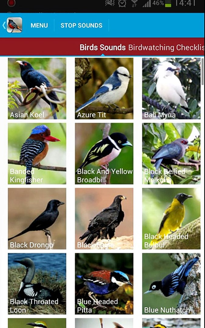 ⁣Asian Birds Sounds Android App