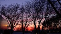 Mystery: Sky Turns Red Millions of Crows Blacken The Sky ! Crows Invade Minneapolis !