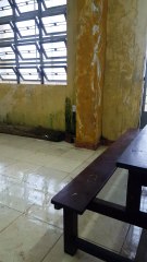 Do I Call an Electrician or a Plumber?