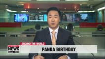 France's first baby panda celebrates first birthday