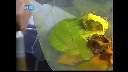 The Joy of Painting S26 02 Delightful Meadow Home