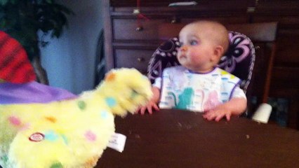 Babys shocked reion to an Easter hen laying eggs Wanna see it again?