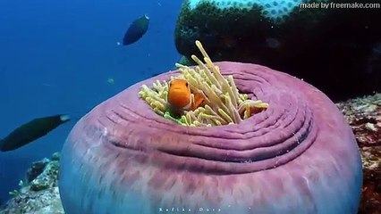 The 5th Horseman of the Apocalypse