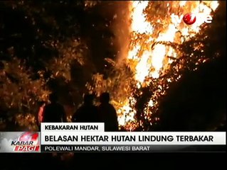 Belasan Hektare Hutan Lindung di Polewali Mandar Terbakar