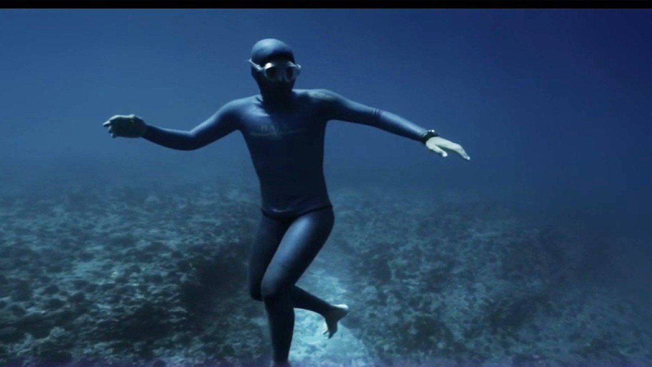 Faune - La méditerranée : un écrin pour les tortues marines