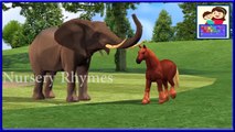 3d colors song with elephant & horse 3d animated cartoons for kids & children by nursery r