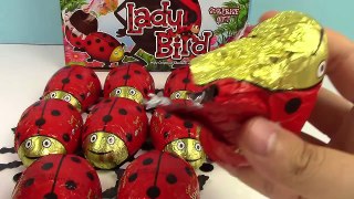 Uğur Böceği Figürlü 11 Büyük Sürpriz Yumurta Açma Oyuncak Abi