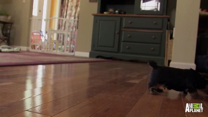 Boys Will Be Boys | Too Cute!