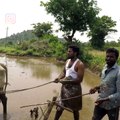 Kiki Challenge dans une rizière (Inde)