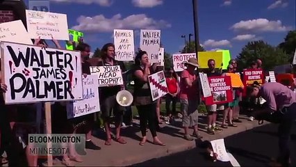 Hundreds Protest Lion Killing at Dentist Office