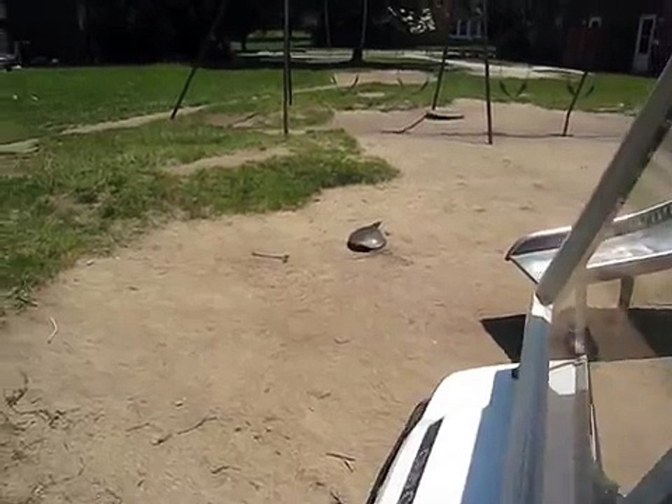 SUPER FAST TURTLE