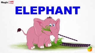 Animal Alphabet Pre School Learn English Words (Spelling) Video For Kids and Toddlers