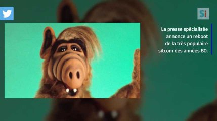"Alf" : Le célèbre extraterrestre, bientôt de retour sur les écrans !