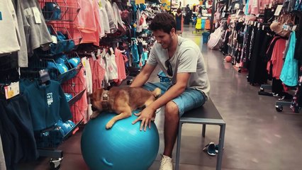 VAN LIFE NEVER SEEN BEFORE THE ONLY PINK LAKE IN EUROPE