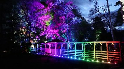 The Enchanted Forest new Testing Out New Camera (B Roll)