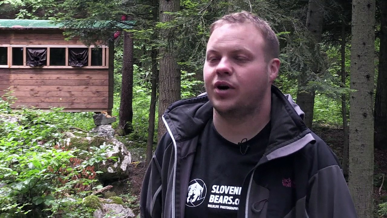 Slowenien: Auf Du und Du mit dem Bär