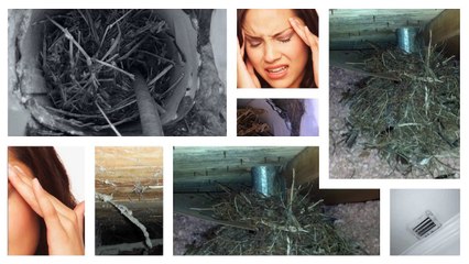 Efficient Air Duct Cleaning Service