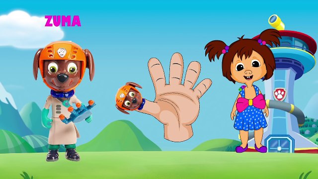 Paw Patrol transforms into PJ Mask Finger Family Song | Chase, Zuma, Rocky as Catboy, Owle