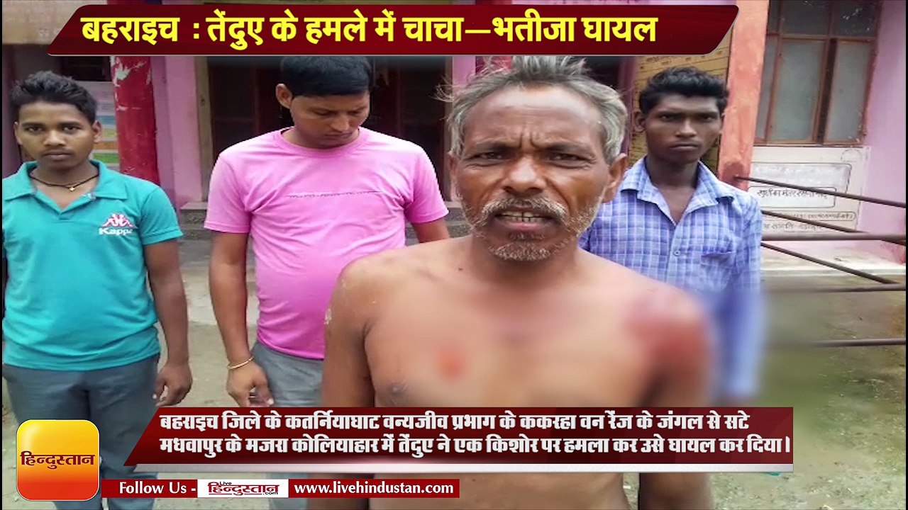 बहराइच - तेंदुए के हमले में चाचा-भतीजा घायल