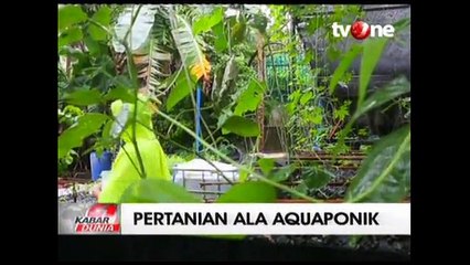 Aquaponik, Teknik Bercocok Tanam Ala Masyarakat Kota