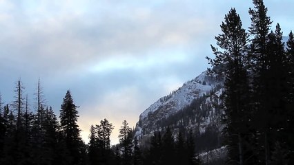 Winter in the Park: Yellowstone Winter Wildlife and Scenery, new 13