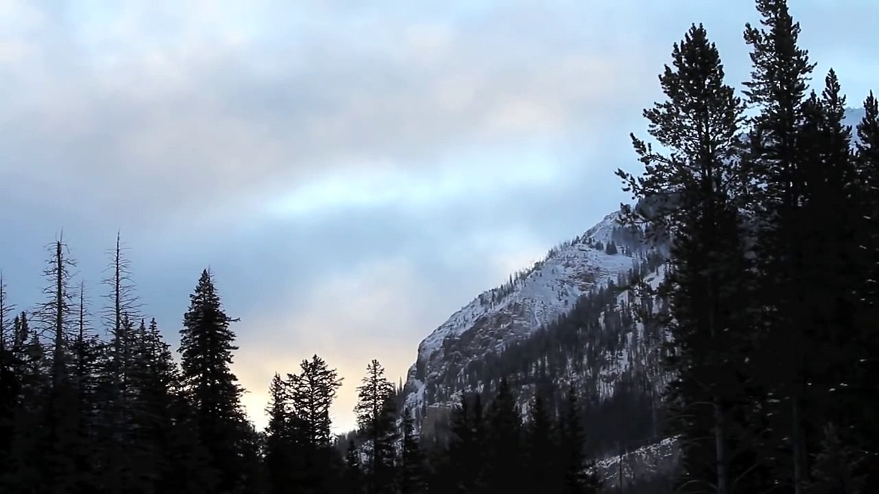 Winter in the Park: Yellowstone Winter Wildlife and Scenery, new 13