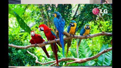 Must have future gadgets new