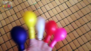 Finger family song balloons Learn colors with balloons for children